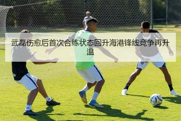 武磊伤愈后首次合练状态回升海港锋线竞争再升温